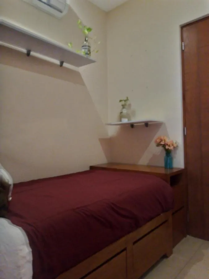 *** Bed & Breakfast Bed And Breakfast Pecari Cancun Mexico