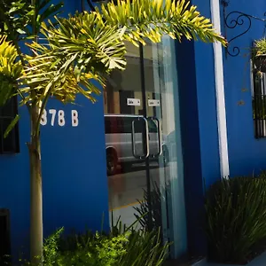 hotel-boutique-casa-flor-de-mayo.hotelsmerida.org/