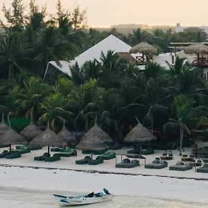 Casa Tortugas Petit & Isla Holbox