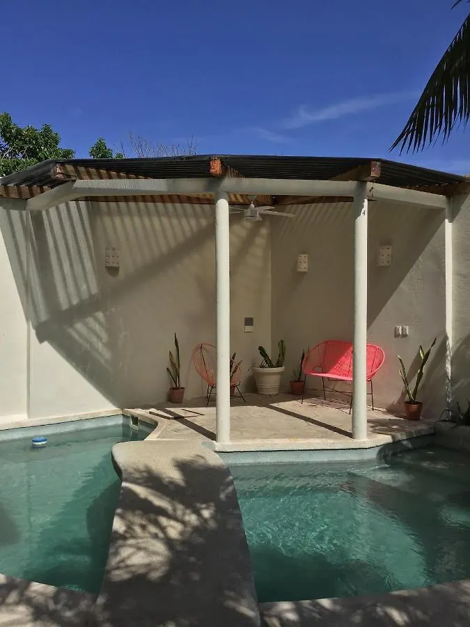 Bed & Breakfast Bed And Breakfast Pecari Cancún
