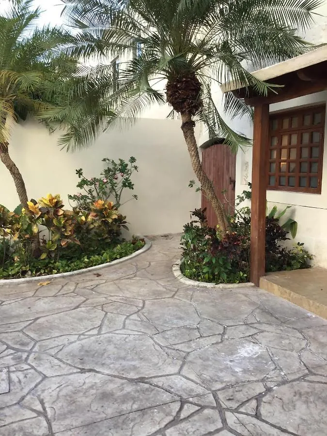 Bed And Breakfast Pecari Канкун 3*,  Мексика