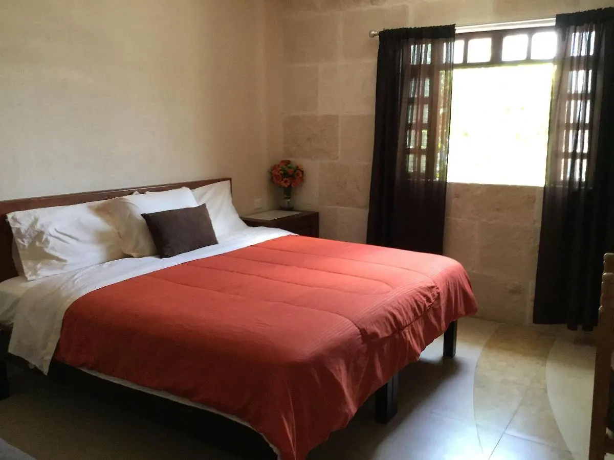 Bed And Breakfast Pecari Канкун