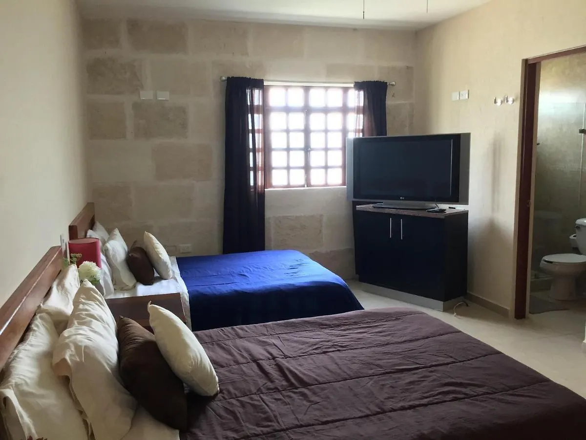 Bed And Breakfast Pecari Cancún Bed & Breakfast