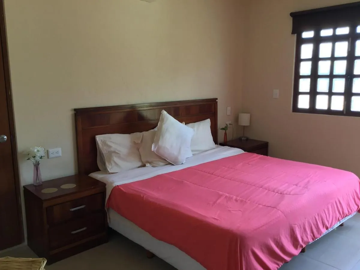 Bed And Breakfast Pecari Канкун Отель типа 