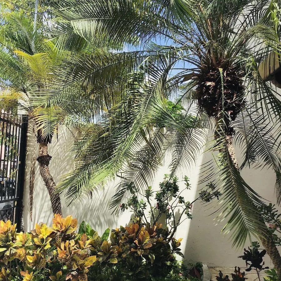 Bed & Breakfast Bed And Breakfast Pecari Cancún