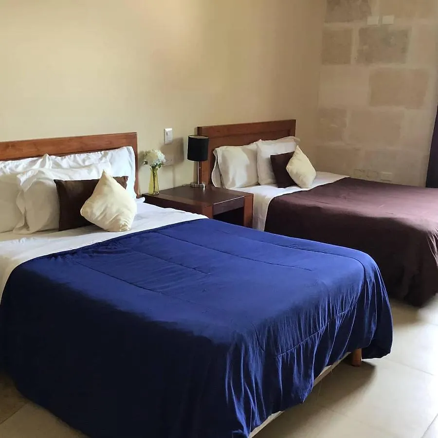 Bed And Breakfast Pecari Cancún Bed & Breakfast