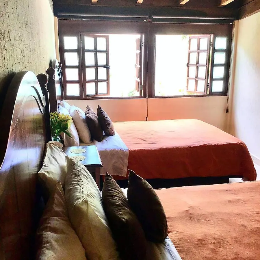 Bed And Breakfast Pecari Cancún