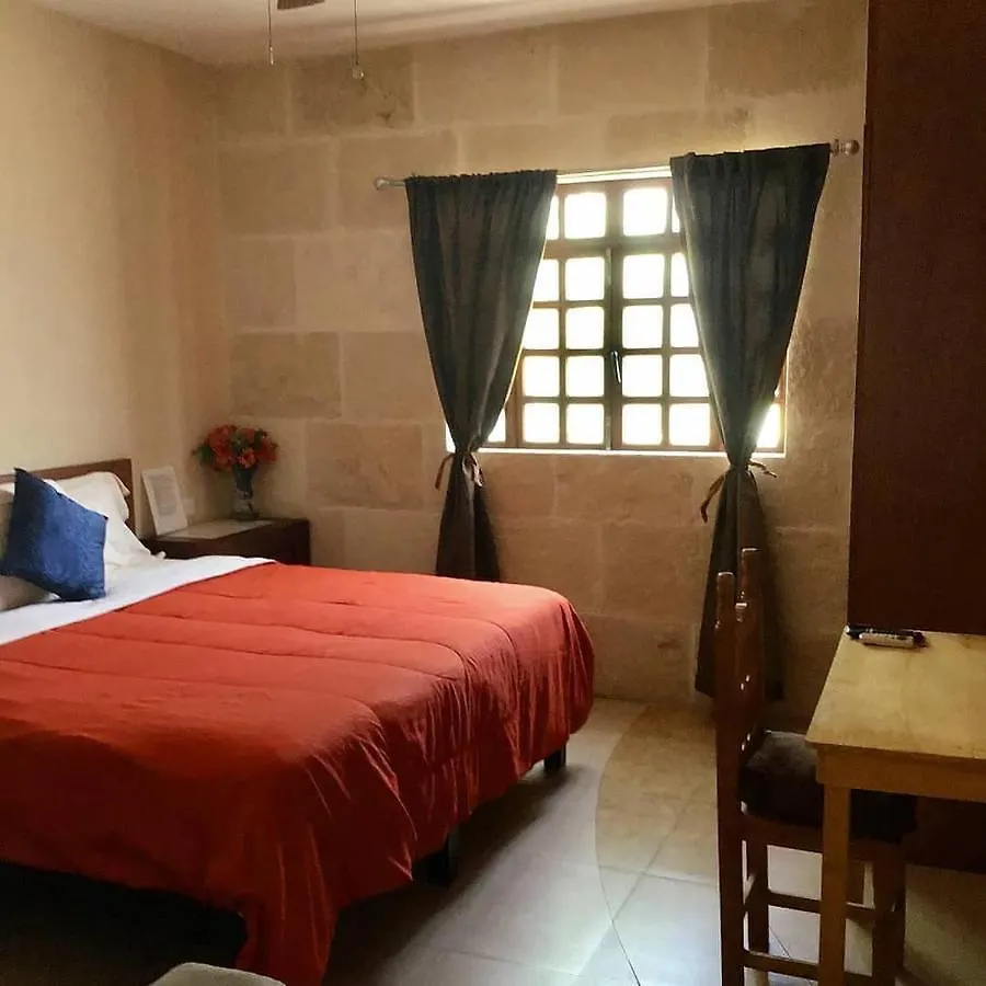 Bed And Breakfast Pecari Cancún Bed & Breakfast